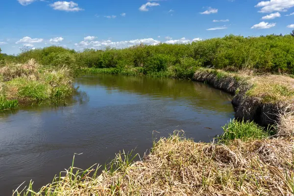 Yukarı Narew Bölgesinin Güzelliği, Podlasie, Polonya