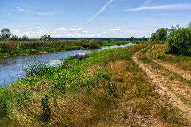 Narew Ulusal Parkı 'nda yaz, Podlasie, Polonya