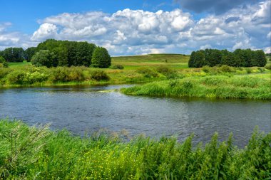 Narew Vadisi, Podlasie, Polonya 'da bir yaz gününün güzelliği