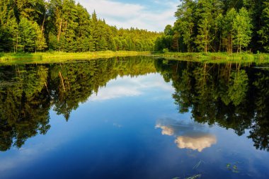 Ormandaki güzel göl
