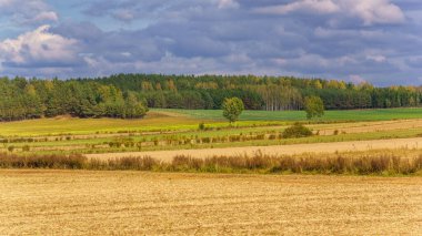 Polonya, Podlasie 'deki Soklskie Hills' e sonbahar geldi.