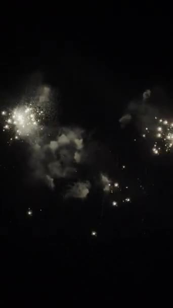 Disfrute Una Emocionante Exhibición Fuegos Artificiales Que Ilumina Cielo Oscuro — Vídeo de stock