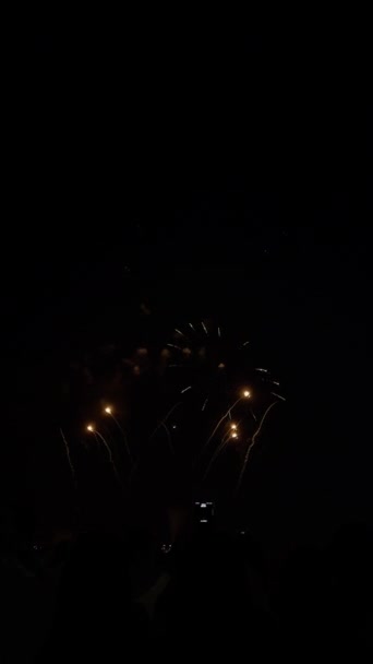 Video Vertical Celebración Año Nuevo Fuegos Artificiales Colores Fuegos Artificiales — Vídeo de stock
