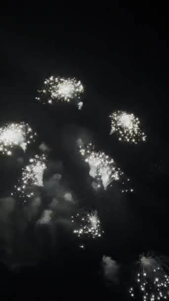 Immergiti Mondo Meraviglie Mentre Fuochi Artificio Dipingono Cielo Con Lampi — Video Stock