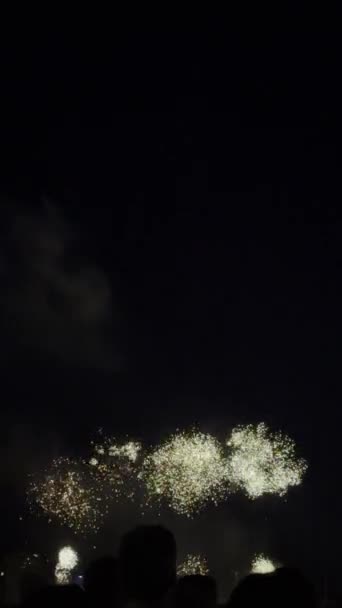 Mira Los Fuegos Artificiales Brillar Como Estrellas Fugaces Medio Noche — Vídeo de stock