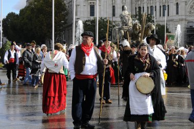 Traditional transhumance of livestock in the city of Madrid, in Cibeles Square clipart