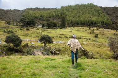 Cocuy Doğal Parkı Rehberi, Kolombiya. 