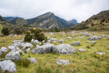 Cocuy Doğal Parkı, Kolombiya.