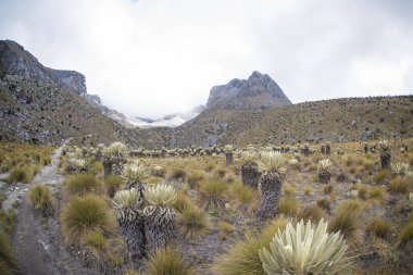 Cocuy Doğal Parkı, Kolombiya.