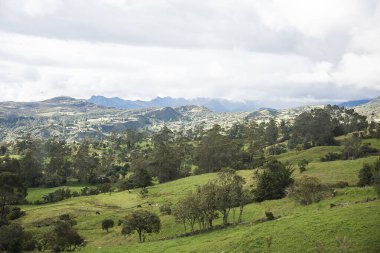 Cocuy Doğal Parkı, Kolombiya. 