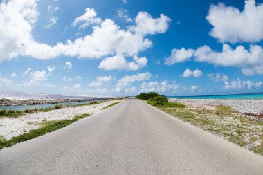 Bonaire adasındaki tuz çıkarma fabrikası.