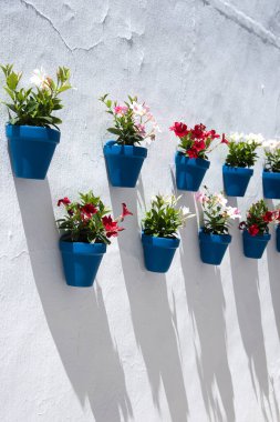 Frigiliana, Malaga 'daki eski evdeki saksılarla yüz yüze.