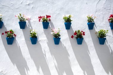 Frigiliana, Malaga 'daki eski evdeki saksılarla yüz yüze.