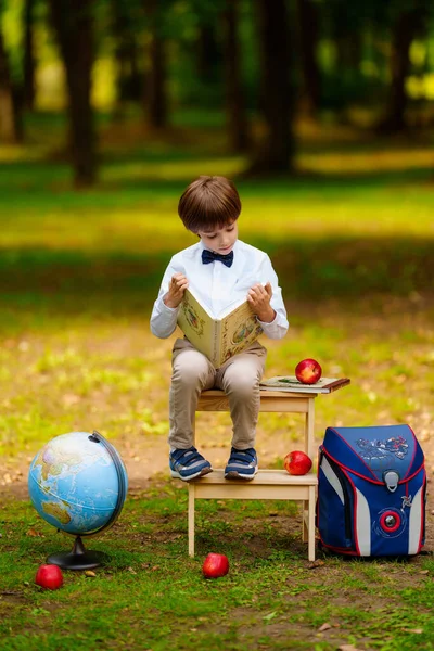 Estudante Bonito Com Mochila Globo Livro Leitura Parque Criança Estudando — Fotografia de Stock