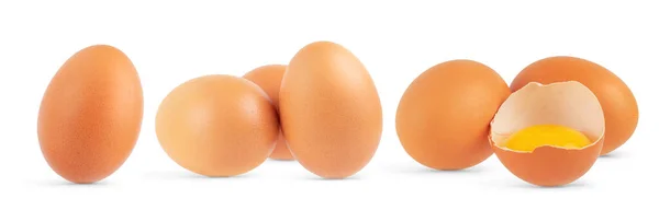 Conjunto Huevos Marrones Aislados Sobre Fondo Blanco — Foto de Stock