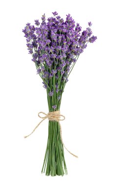 Lavender bouquet on white background with clipping path.