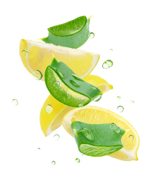 Aloe Vera Leaves Lemon Slices Isolated White Background Clipping Path — Stock Photo, Image