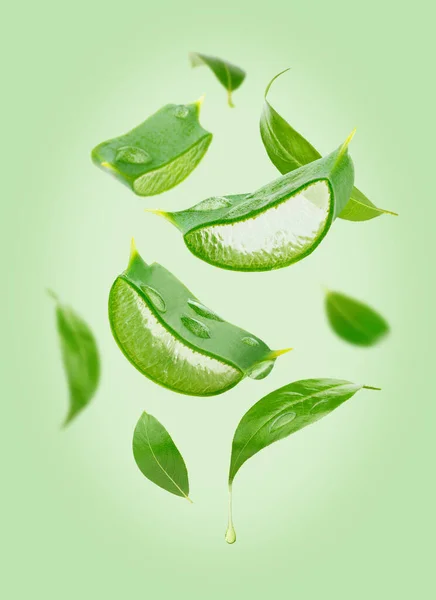 茶葉とアロエベラスライスの構成緑の背景 — ストック写真