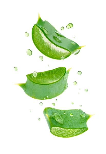 Aloe Vera Slices Flying Vertical Composition White Background Clipping Path — Stock Photo, Image