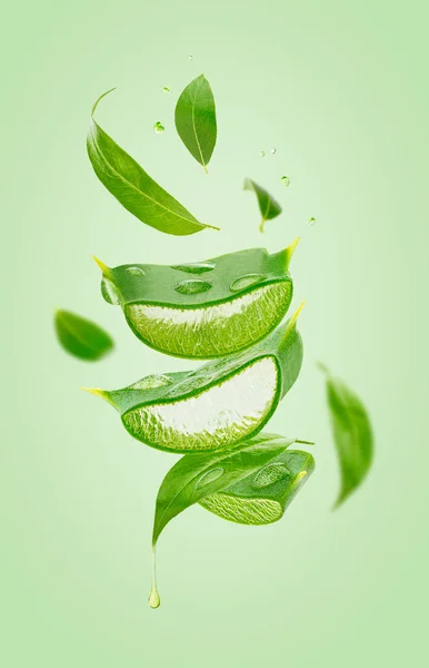 Composition Flying Tea Leaves Aloe Vera Slices Isolated Green Background — Stock Photo, Image
