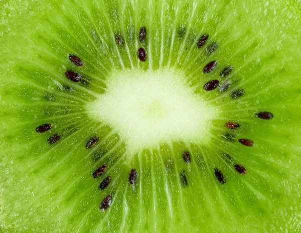 stock image Green kiwi macro shot. Fruits background. close up