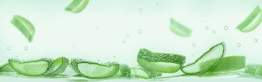 Aloe vera slices under water on green background. Copy space, banner.