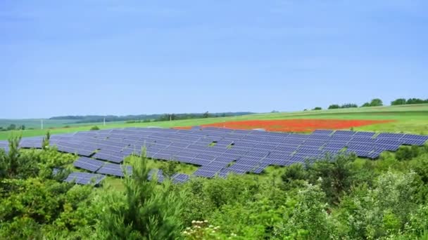 Поле Сонячних Панелей Фотоелектричних Модулів Відновлюваних Джерел Енергії Екологічна Енергія — стокове відео