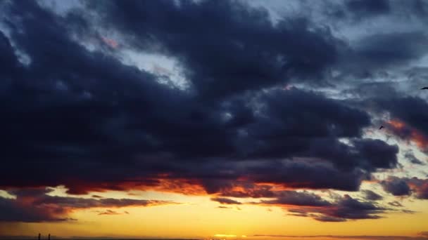 Птицы Летают Над Красочным Закатом Массивными Облаками Над Горизонтом Красивый — стоковое видео