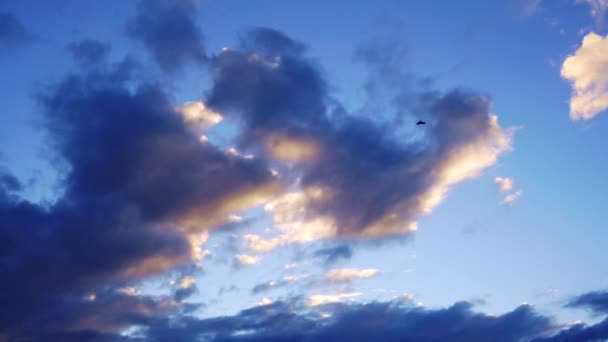 Птицы Летают Над Красочным Закатом Кучевыми Облаками Красивый Закатный Фон — стоковое видео