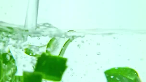 Νερό Γεμίζει Γυάλινο Δοχείο Φέτες Αλόης Βέρα Μακροσκοπικό Βίντεο — Αρχείο Βίντεο