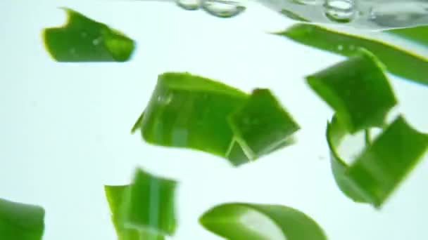 Aloe Vera Dilimleri Suyun Altından Geçiyor Dermatoloji — Stok video