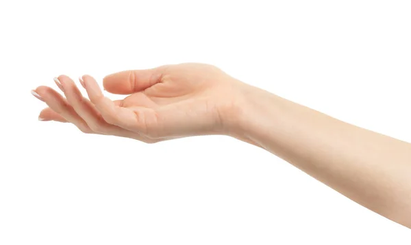 Kadın eli, kırpma yolu ile beyaz arkaplanda izole edildi. Kapat.