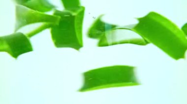 Aloe vera dilimleri suyun altından geçiyor. Ön manzara, kapat..
