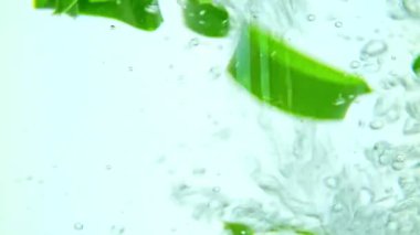 Aloe Vera suyun altında hava kabarcıklarıyla kesiyor. Makro video