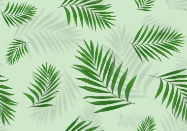 palmiye yaprakları seamless modeli 