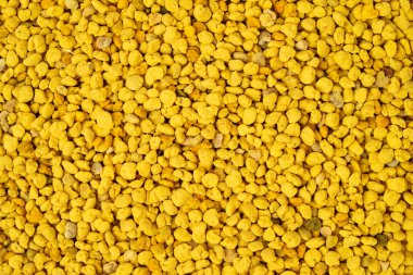 Arı poleni desenli arkaplan. 