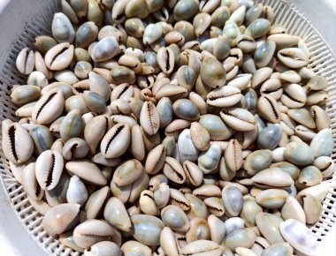 Bir sepette kovan koleksiyonu