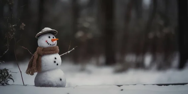 Noel Arkaplanı Boyutlu Kardan Adam Beyaz Tahta Tutuyor Kış Tatili — Stok fotoğraf