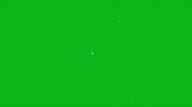 Toz ve tahıl dokusu canlandırılmış arka plan. Yeşil ekran, toz ve tahıl üzerindeki eski tip film efektleri çiziklerle örtüşüyor