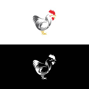 Beyaz arka planda tavuk tasarımı vektörü. Tavuk. Çiftlik Hayvanları. Tavuk logosu ve tavuk logosu kümes hayvanı logosu logosu. Hayvan logosu çizimi tasarımı.