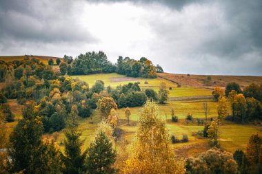 Dağlarda bir ağacı olan güzel bir manzara.