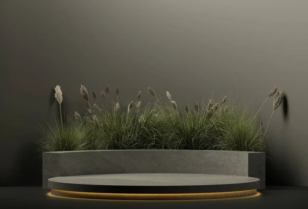 Siyah renkli arka plan ve bitkiler. Model çizimler için. 3d hazırlayıcılar
