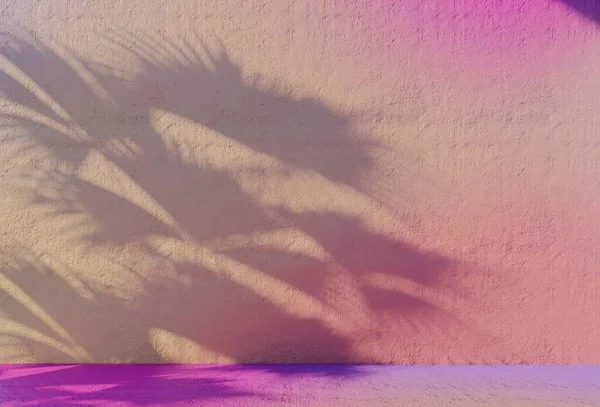 Ombre Silhouette Astratte Sfondi Colore Brillante Foglie Naturali Rami Albero — Foto Stock