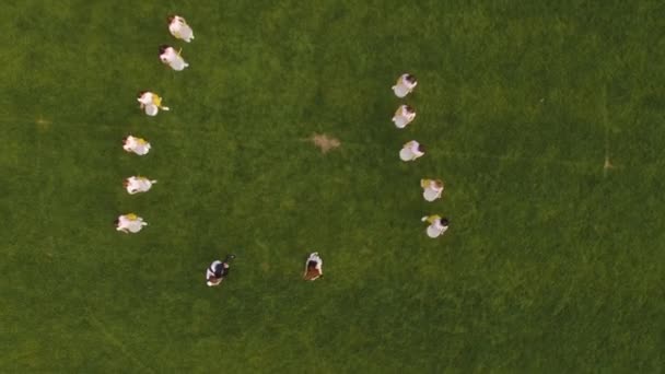Chortkiv Ukraine 2019年8月22日 高校サッカーチアリーディングトレーニング 空中展望 高品質4K映像 — ストック動画