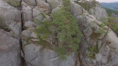 Ormandaki Duvbush kayalarının muhteşem dağ manzarasında uçuyor. Yüksek kalite 4k görüntü