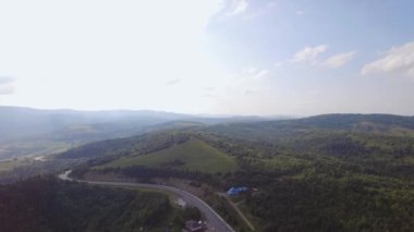 Yazın ormandaki yol manzarası, sisli bir sabah. İHA atışı ağaç tepelerinde uçarken, doğa arka planı 4K çözünürlüğünde. Yüksek kalite 4k görüntü