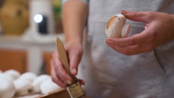 슬로우 모션닫아 마시멜로 과자가 코코아를 만듭니다 손으로 고품질 — 비디오