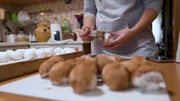 과자를 만드는 사람은 코코아 가루를 손으로 마시멜로의 샴푸를 만든다 비즈니스 — 비디오