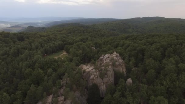 Dağların Üzerinden Uçmak Günbatımı Ormanın Üzerinden Uçmak Dağların Üzerinden Uçmak — Stok video