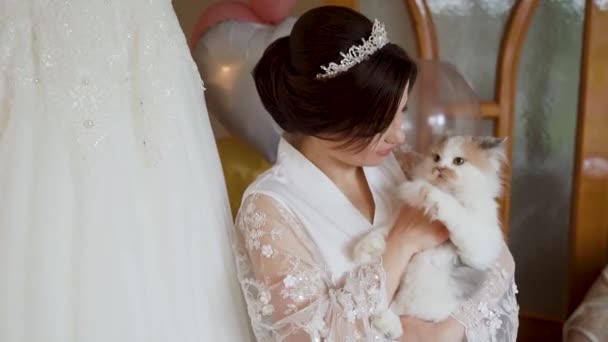 Bride Wedding White Cat Kitten Her Hands High Quality Fullhd — Video Stock